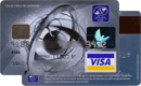 Visa Classic&nbsp;—&nbsp;AVAL Bank